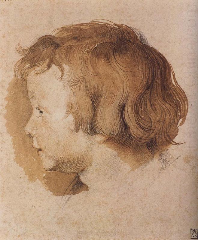 Portrait of Younger Rubens, Peter Paul Rubens